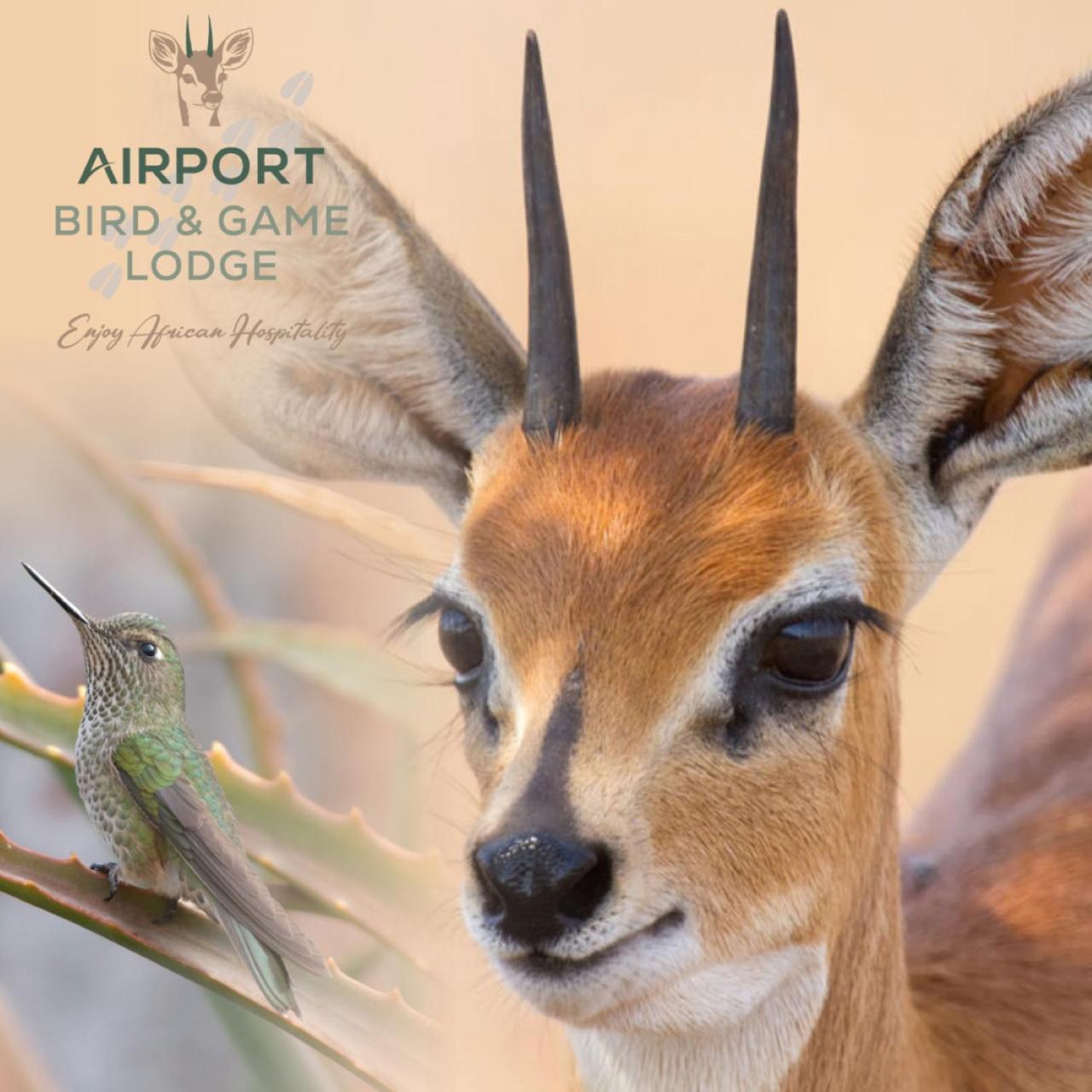 Airport Bird & Game Lodge เคมป์ตัน พาร์ค ภายนอก รูปภาพ